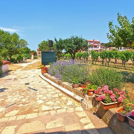 Vrcevan 895 Apartman